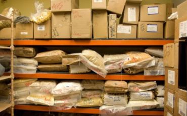 bulk ecommerce delivery courier services in greater noida